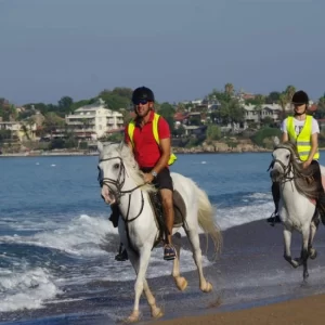 تور اسب سواری در استانبول